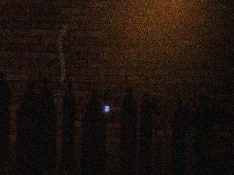 The queue along the brickwork outside at night, one phone screen lit.